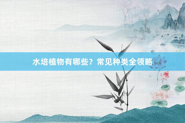 水培植物有哪些？常见种类全领略
